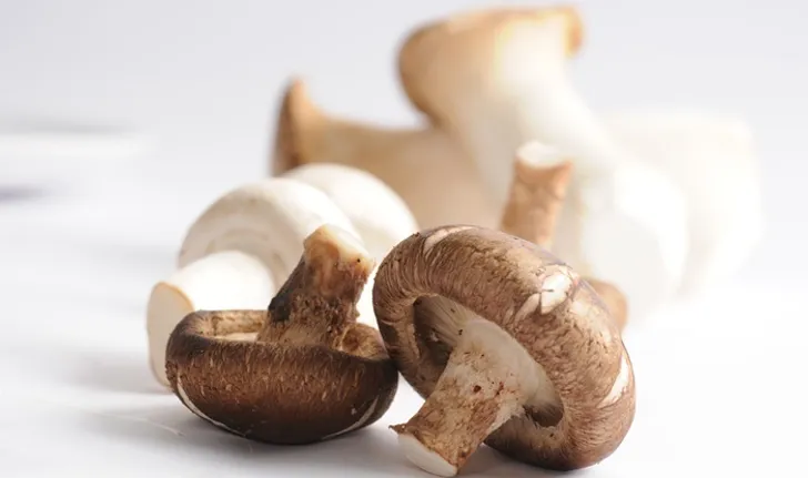 Mushrooms and 6 amazing benefits that you may not have known before.